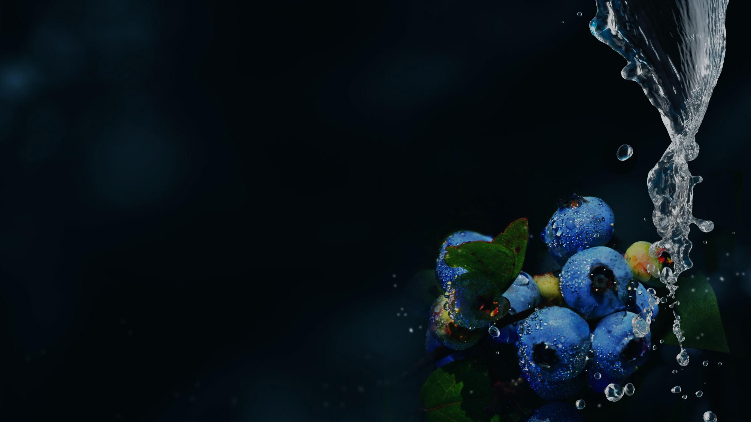 Blueberries with black background